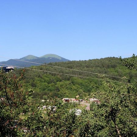 Dilijan Town Inn Kültér fotó