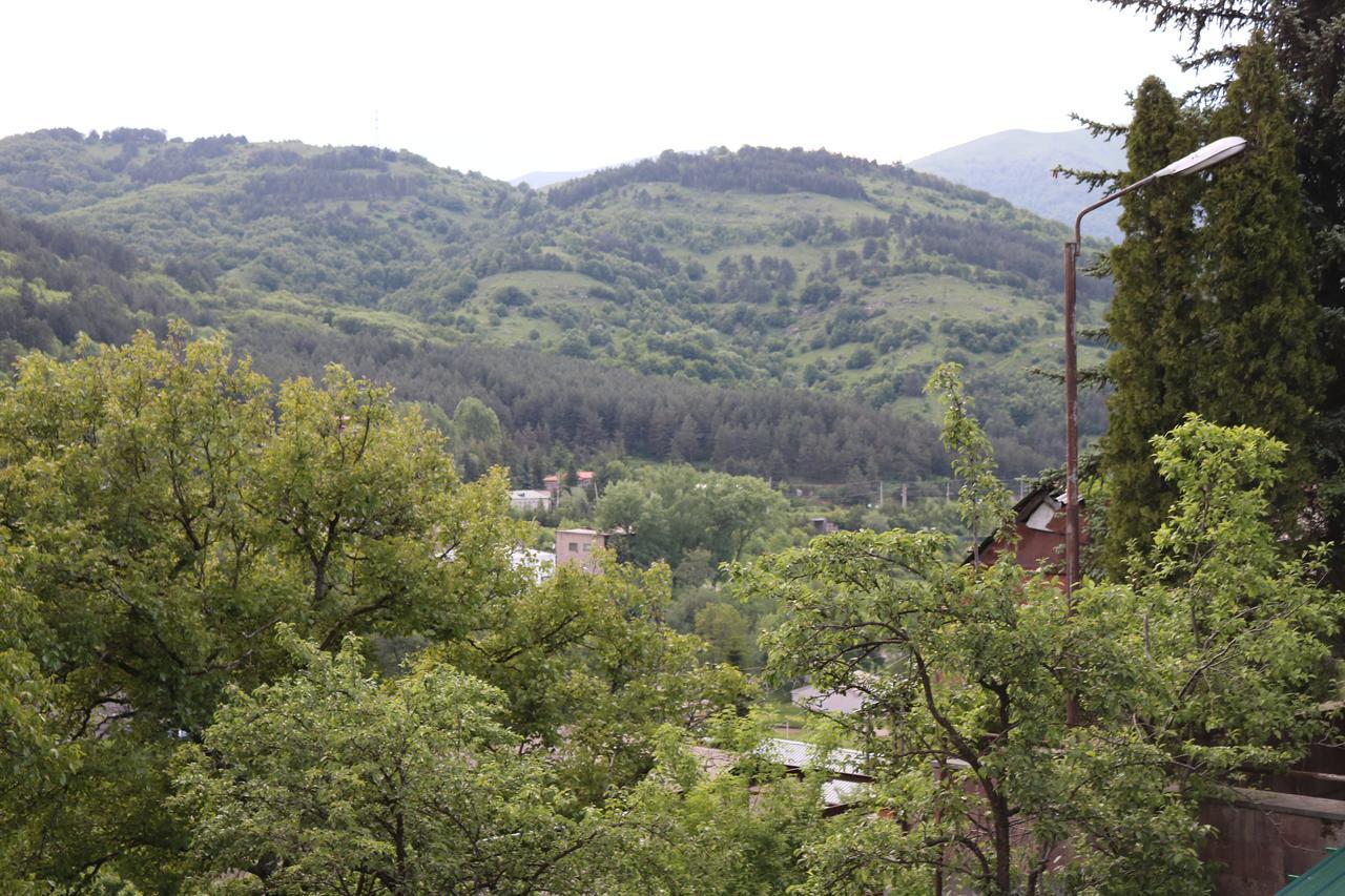 Dilijan Town Inn Kültér fotó